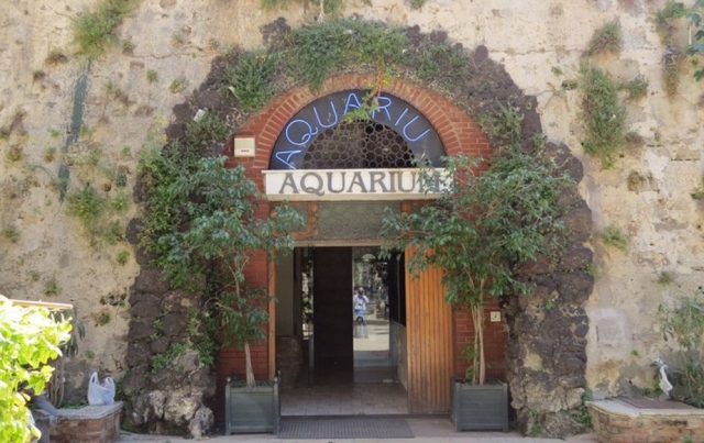 Siracusa, acquario comunale: aggiudicata la gestione