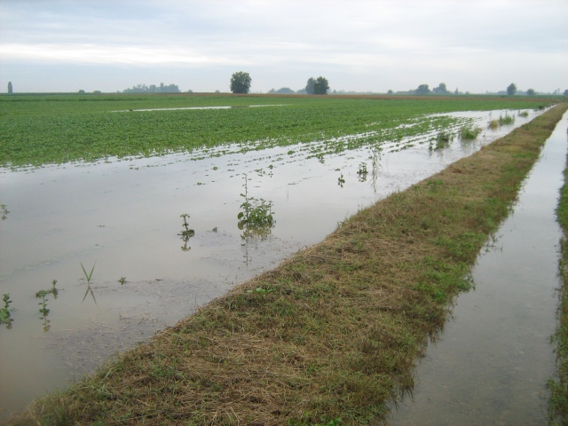 Agricoltura in ginocchio, Vinciullo: "Si chieda lo stato di calamità"