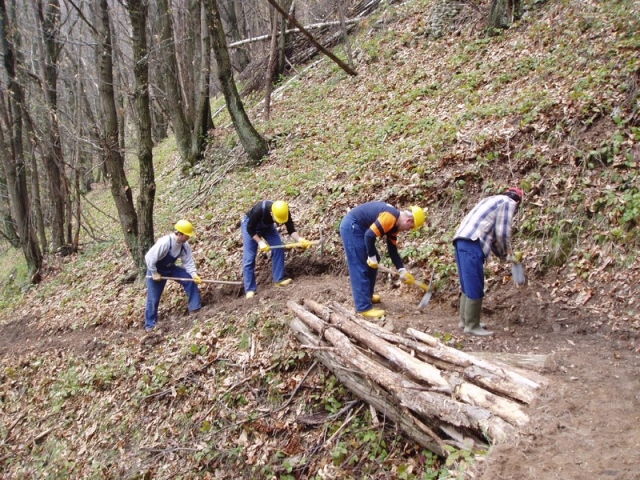 Forestali siciliani, arrivano le retribuzioni di novembre e dicembre