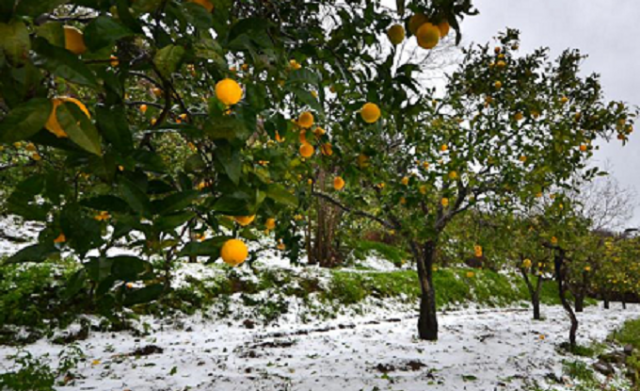 Neve e gelo anche in provincia di Siracusa, parte la conta dei danni per la declaratoria dello stato di calamità