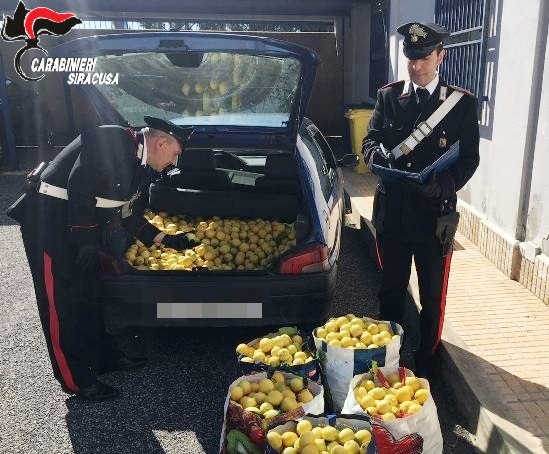 Siracusa, 200 chili di limoni in auto appena rubati: arrestato catanese