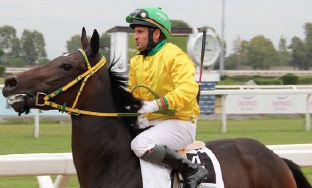 Siracusa, grave incidente all'Ippodromo: fantino finisce sotto il cavallo che montava