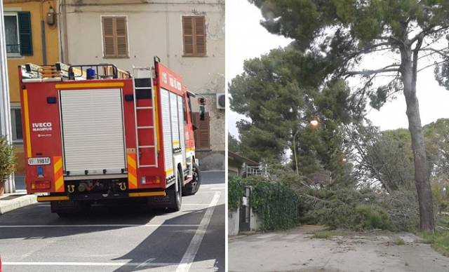 Siracusa e provincia, 24 ore da dimenticare: si fa la conta dei danni. In ginocchio l'agricoltura del sudest