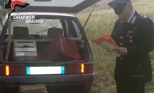 Siracusa, furto di prodotti agricoli: un arresto