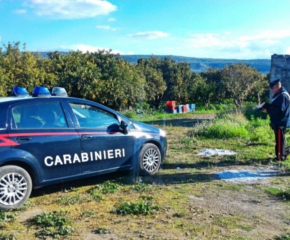 Siracusa e provincia, caporalato e lavoro nero: 8 denunce e sanzioni