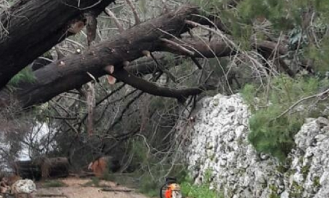 Canicattini, maltempo: danni per 150.000 euro. Chiesto lo stato di calamità naturale