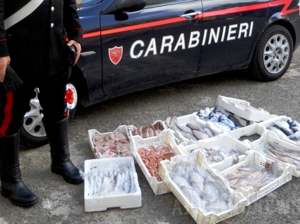 Ferla, vendeva prodotti ittici privi di tracciabilità: sequestrati 13 chili di pesce