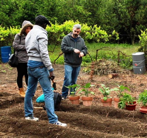 Siracusa, Orti sociali urbani: domani scade il termine per la presentazione delle domande