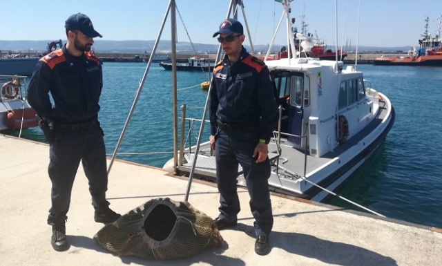 Augusta, pesca di frodo: sequestrati 400 ricci di mare