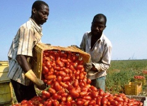 Siracusa, lavoratori migranti e caporalato: Cgil scende in campo