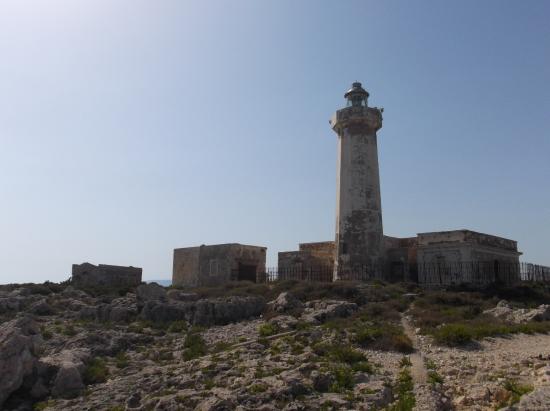 Siracusa, collegamento intermodale Ortigia-Plemmirio: il Consiglio comunale "blinda" la Giunta
