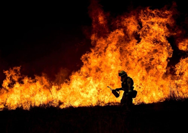 Siracusa, prevenzione incendi: il sindaco Italia firma l'ordinanza per gli interventi di pulizia