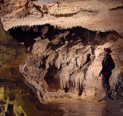 Melilli, scoperto un coleottero all’interno della grotta Villasmundo