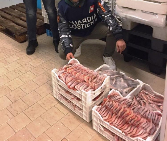Portopalo di Capo Passero, prodotto ittico senza tracciabilità: sequestrati circa 40 chili di pesce, sanzione di mille e 500 euro