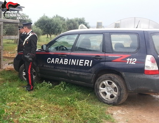 Siracusa e Portopalo, controlli in attività commerciali: i Nas sequestrano 106 ovini e 200 chili di pesce