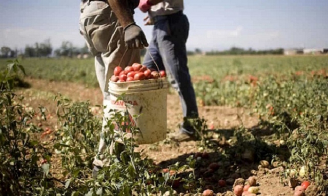 Siracusa, campo di accoglienza temporaneo a Cassibile per i lavoratori agricoli stagionali