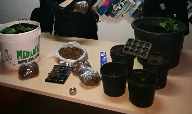 Lentini, deteneva marijuana e piantine: arrestato 27enne