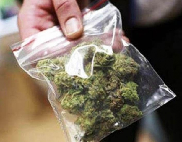 Siracusa, trovata marijuana vicino una panchina: sequestrata