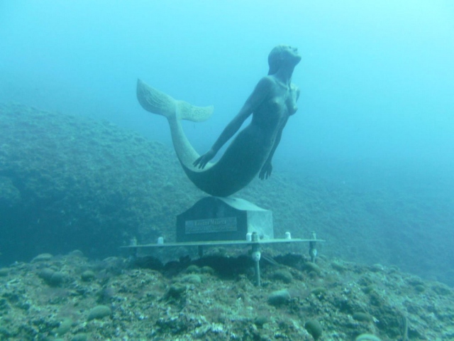 Siracusa, una mostra di foto e video per mostrare i tesori dell'Area Marina Protetta del Plemmirio