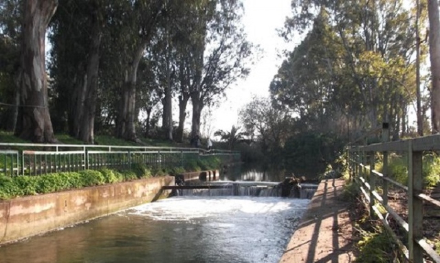 Siracusa, fruizione riserva Ciane Saline: progetti del  Libero Consorzio