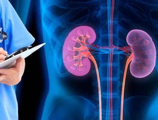 Noto ospita il XVII congresso della SinReni