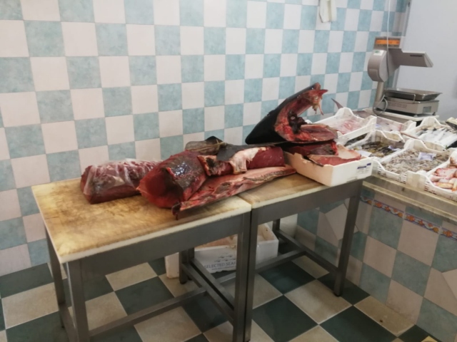 Avola, sequestrati 70 chili di tonno rosso in una pescheria: mancava il documento di tracciabilità