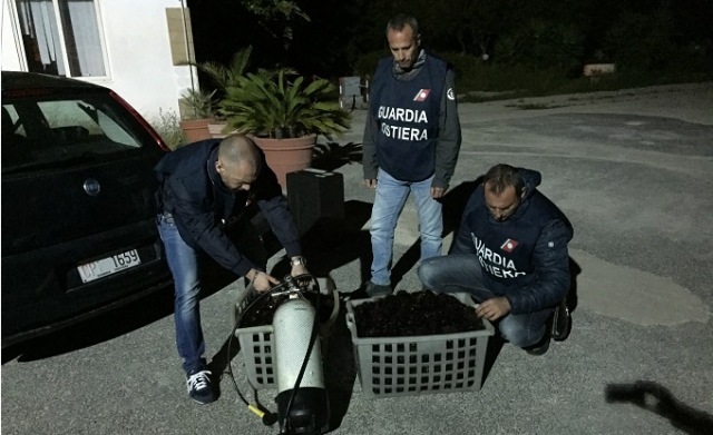 Noto, sorpresi a pescare ricci a Calabernardo: sanzione di 1.000 euro