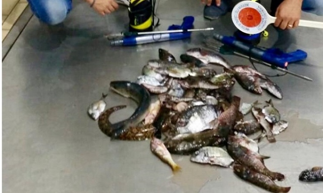 Siracusa, pescatori di frodo all'Amp: sanzione e sequestro attrezzature