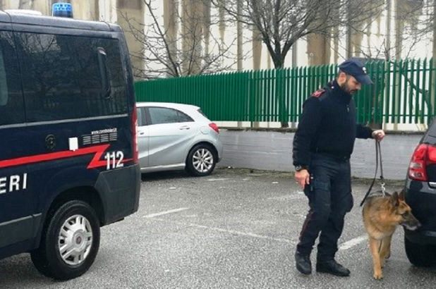 ISERNIA-Controlli-straordinari-Carabinieri-unità-cinofila-antidroga-scuole-780x410