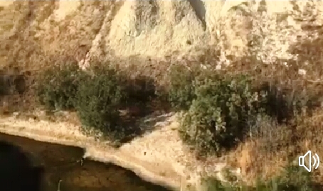 Blitz del senatore Davide Faraone a Noto: "Nella discarica di Bommiscuro un vero e proprio lago di percolato". VIDEO