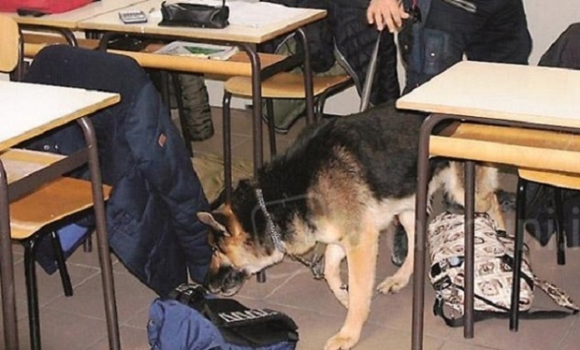 Siracusa, il Comune aderisce al progetto "Scuole sicure" su prevenzione e contrasto a spaccio e consumo droghe