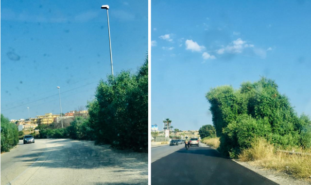 Siracusa, strada di Targia e svincolo per Belvedere invasi dalla vegetazione