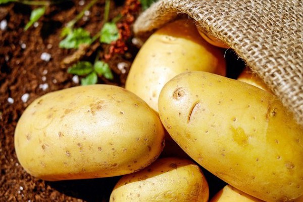 Siracusa, in arrivo il marchio Dop per la patata novella