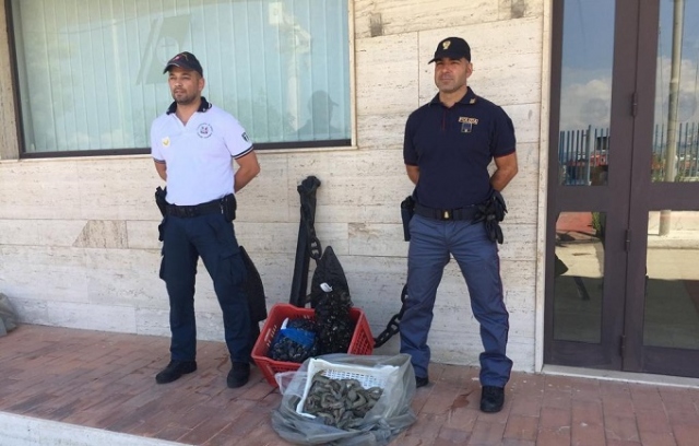 Augusta, sequestrati 23 chili di prodotti ittici e 70 chili di frutta per mancanza di tracciabilità
