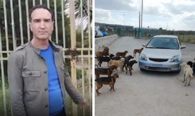 Siracusa, randagismo: Burgio (M5S) "Situazione preoccupante. In tutta la provincia 30.000 cani vaganti"