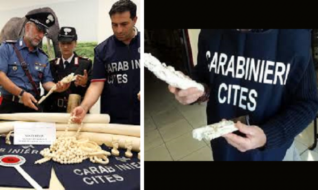 Siracusa, sequestro monili in avorio: denunciato un commerciante
