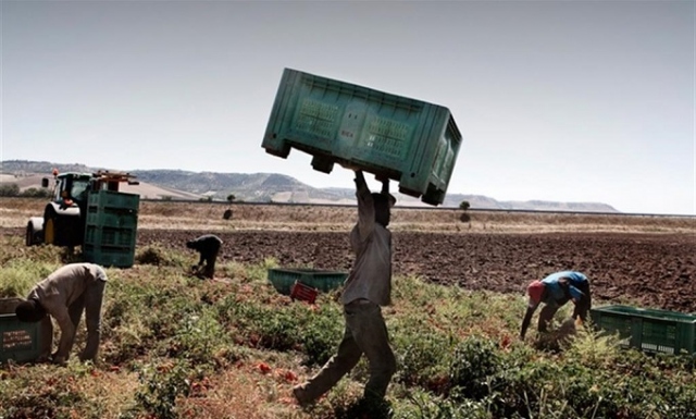 Noto, lavoratori extracomunitari in nero a 4 euro l'ora ospitati in magazzini privi di servizi igienici: arrestati 2 imprenditori agricoli