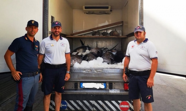 Augusta, 17 esemplari di tonno rosso senza tracciabilità: sanzione per 2mila e 700 euro