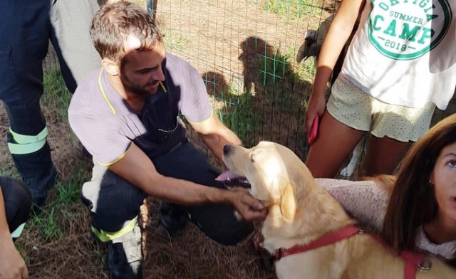 Siracusa, salvato un labrador caduto in un pozzo profondo 5 metri