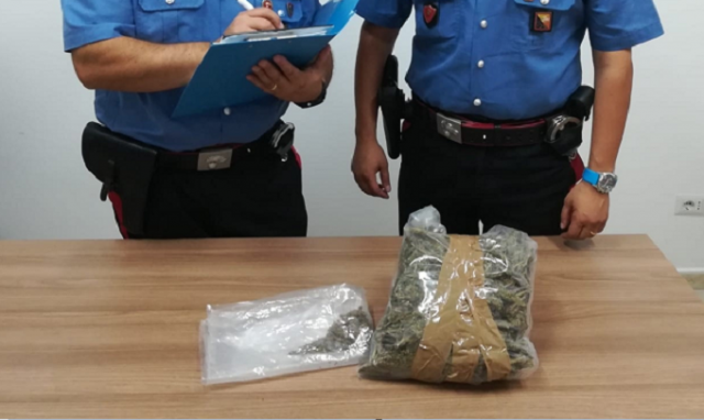 Augusta, due conviventi in possesso di oltre mezzo chilo di marijuana