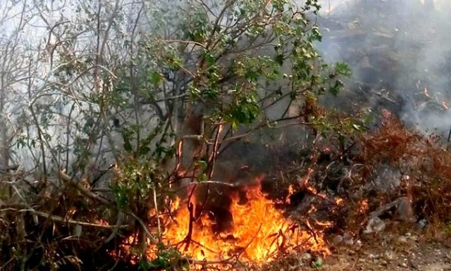 Siracusa, prevenzione incendi: a breve gli interventi nelle aree comunali