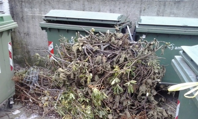 Siracusa, attivato il servizio di ritiro domiciliare di sfalci e potature