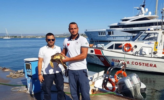 Siracusa, salvata a Capo Murro di Porco tartaruga caretta caretta