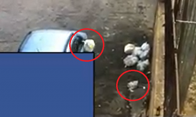 Noto, abbandono dell'immondizia in strada: sanzione e denuncia. VIDEO