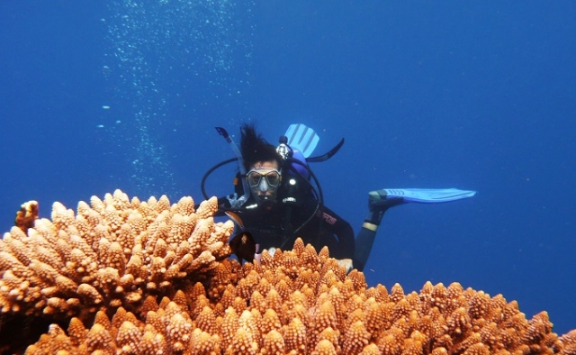 Siracusa, Sentinelle del mare: una biologa marina per studiare le biodiversità dei fondali