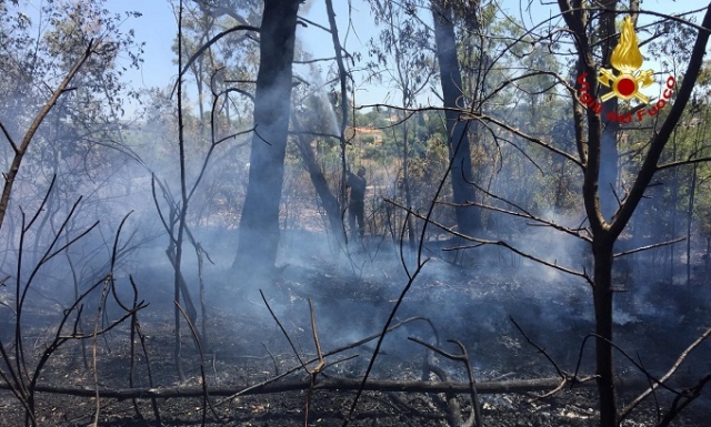 Noto, incendio a San Corrado fuori le mura in contrada Lanzavacche: danni alla vegetazione