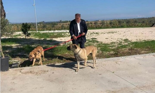 Rosolini, avvelenati i cani del deputato regionale Pippo Gennuso