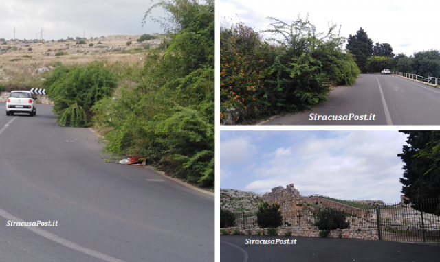 Siracusa, grossi cespugli invadono la sede stradale alla Panoramica: auto costrette ad invadere la corsia opposta