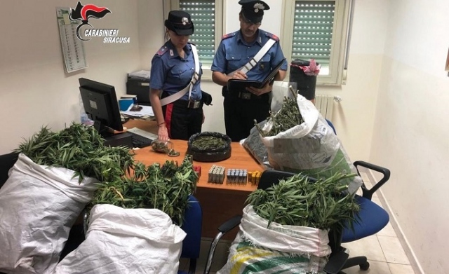 Carlentini, scovata una piccola serra con piante di canapa indiana e marijuana pronta per lo spaccio: arrestato 28enne