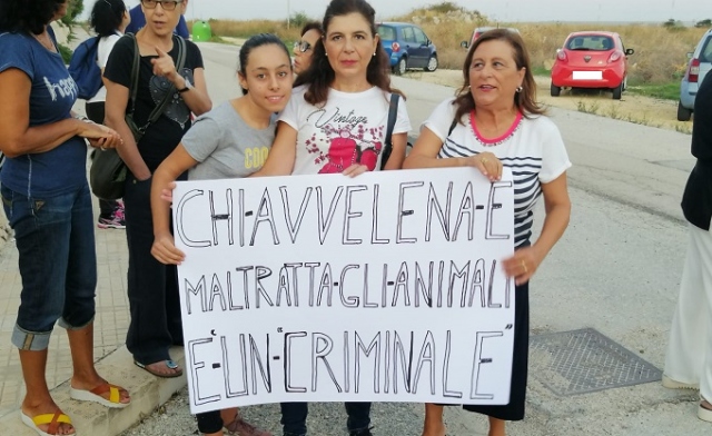 Siracusa, gatti avvelenati: cittadini e volontari gridano il loro NO
